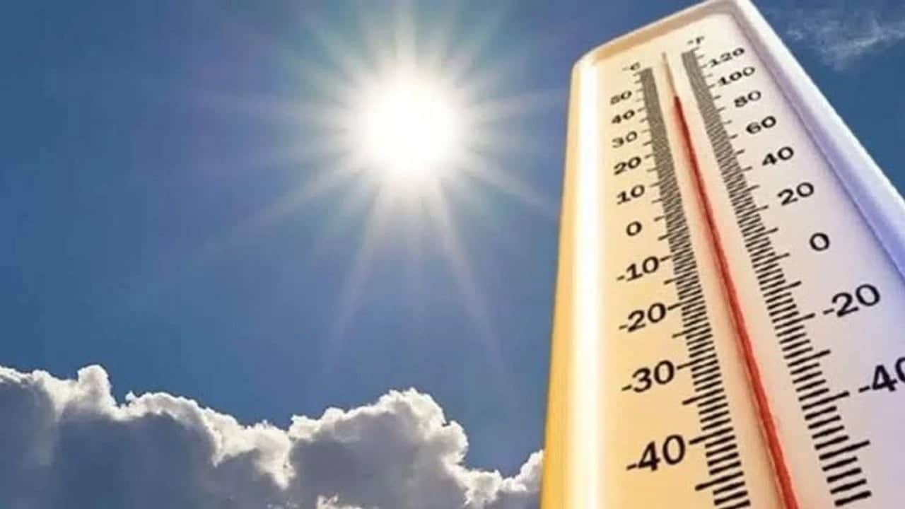 Foto - Eskişehir'de kavurucu sıcakta hasat: 8-9 saat çalışıyorlar... Kadın emekçilerden zorlu mesai