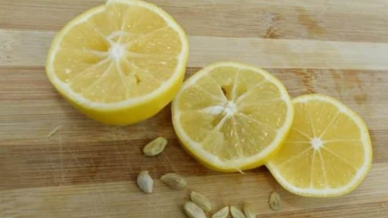 Foto - Faydasını duyunca şaşıracaksınız! Limon çekirdeklerini sakın çöpe atmayın