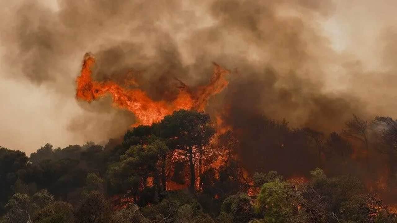 Foto - Felaketi yaşayan Yunanistan'da bilanço açıklandı