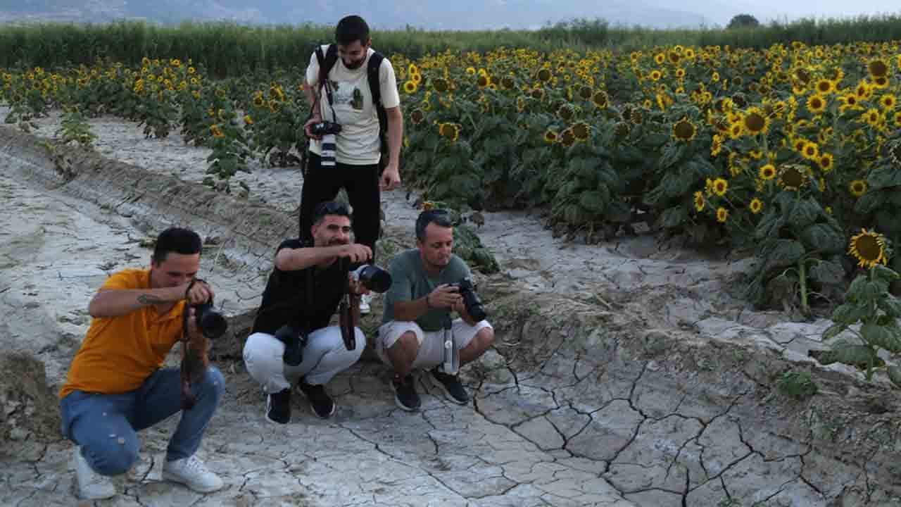 Foto - Fotoğraf tutkunlarının yeni rotası: Harmandalı tarlaları!
