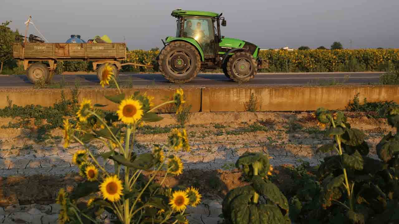 Foto - Fotoğraf tutkunlarının yeni rotası: Harmandalı tarlaları!