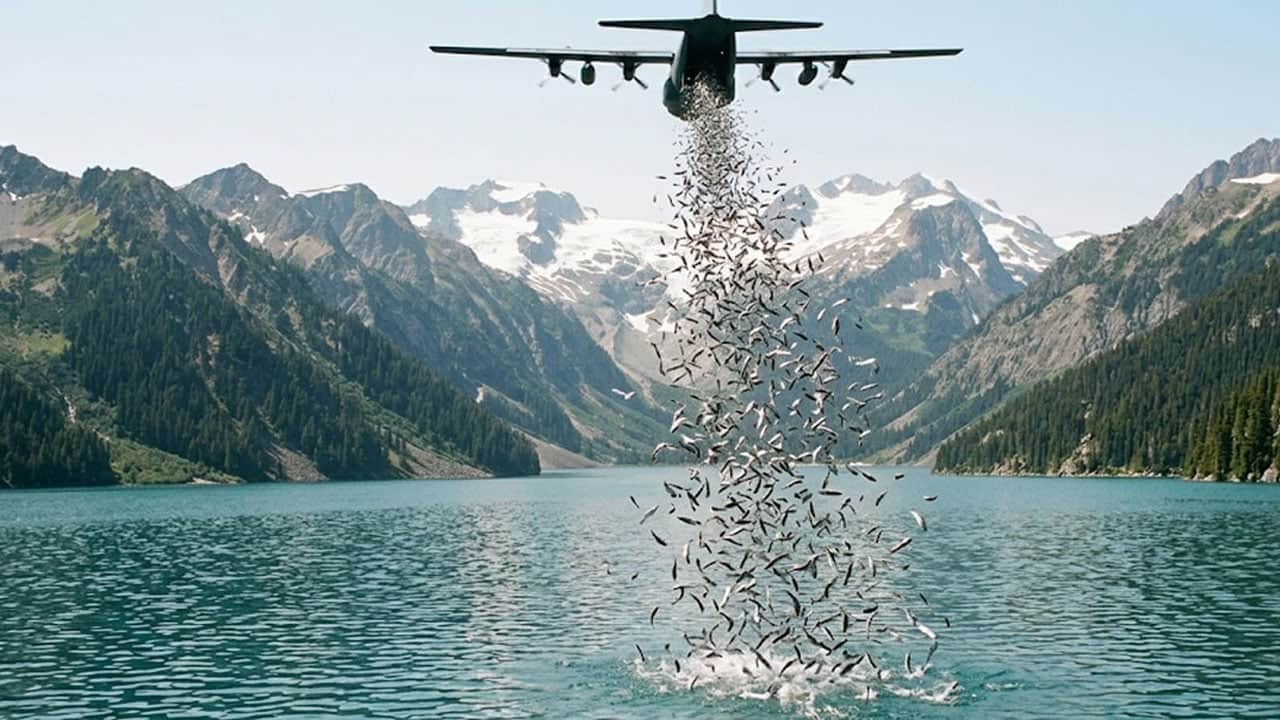Foto - Göllere uçakla balık bıraktıklarına pişman oldular! Tek tek geri topluyorlar