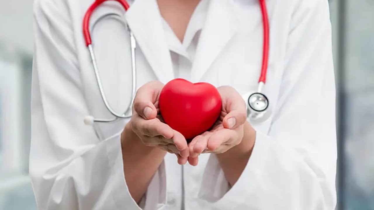 Foto - Bir asırlık tohumlar da var...  Doktor açıkladı: İşte kolesterolü bitirecek 4 ürün...