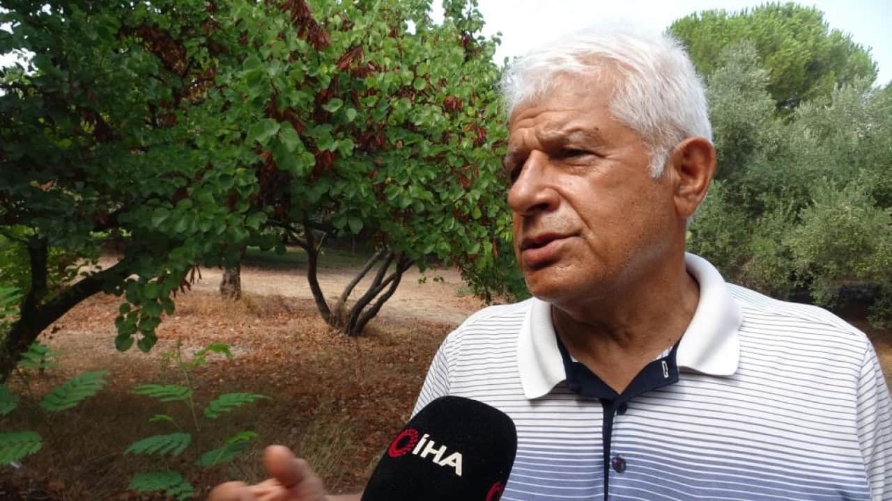 Foto - Görüntüler 'Olmaz bu kadar 'dedirtti Koruma altında çevre rezaleti