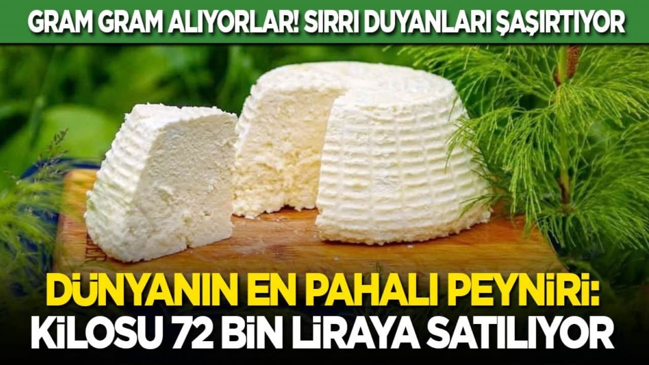 Gram gram alıyorlar! Sırrı duyanları şaşırtıyor! Dünyanın en pahalı peyniri: Kilosu 72 bin liraya satılıyor
