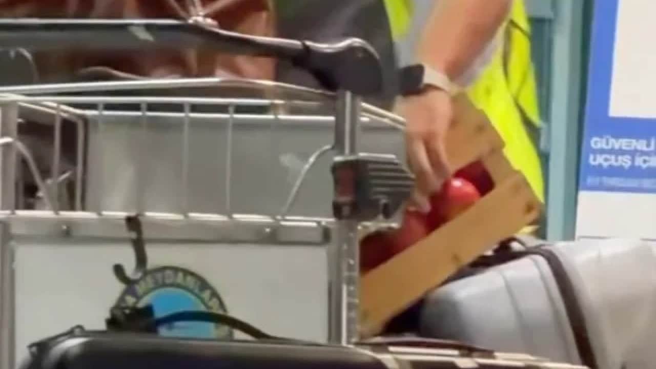 Foto - Gündeme oturmuştu: O domateslerin sırrı çözüldü