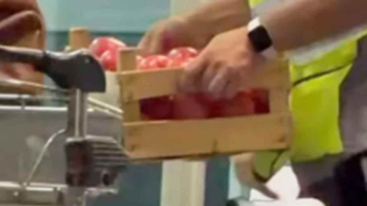 Foto - Gündeme oturmuştu: O domateslerin sırrı çözüldü