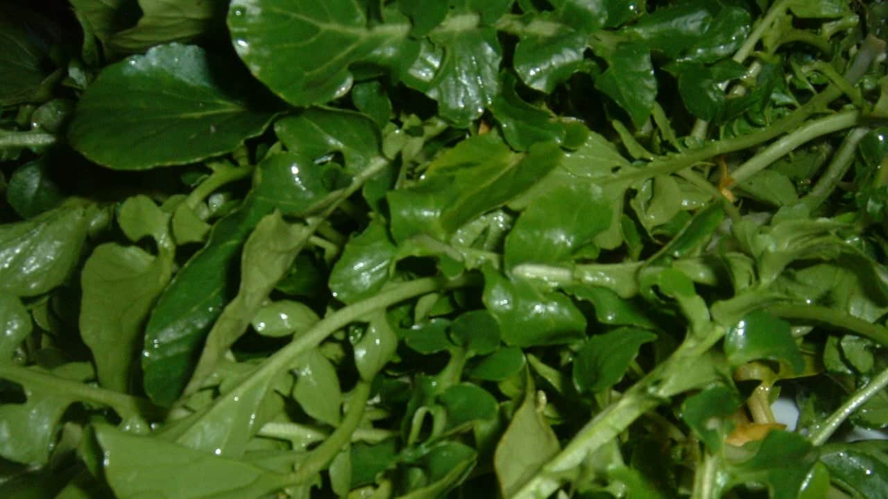 Foto - Günlük beslenmenize yetiyor, en güçlü o besin desteği veriyor: Vitamin deposu! Kaynağı veren şey oymuş...