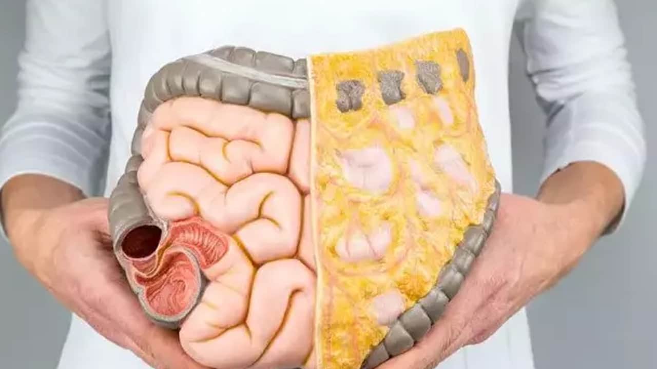 Foto - Halk arasında 'Meyvelerin Kralı' olarak biliniyor: Durian yetiştiriciliğinde çok önemli çalışma!