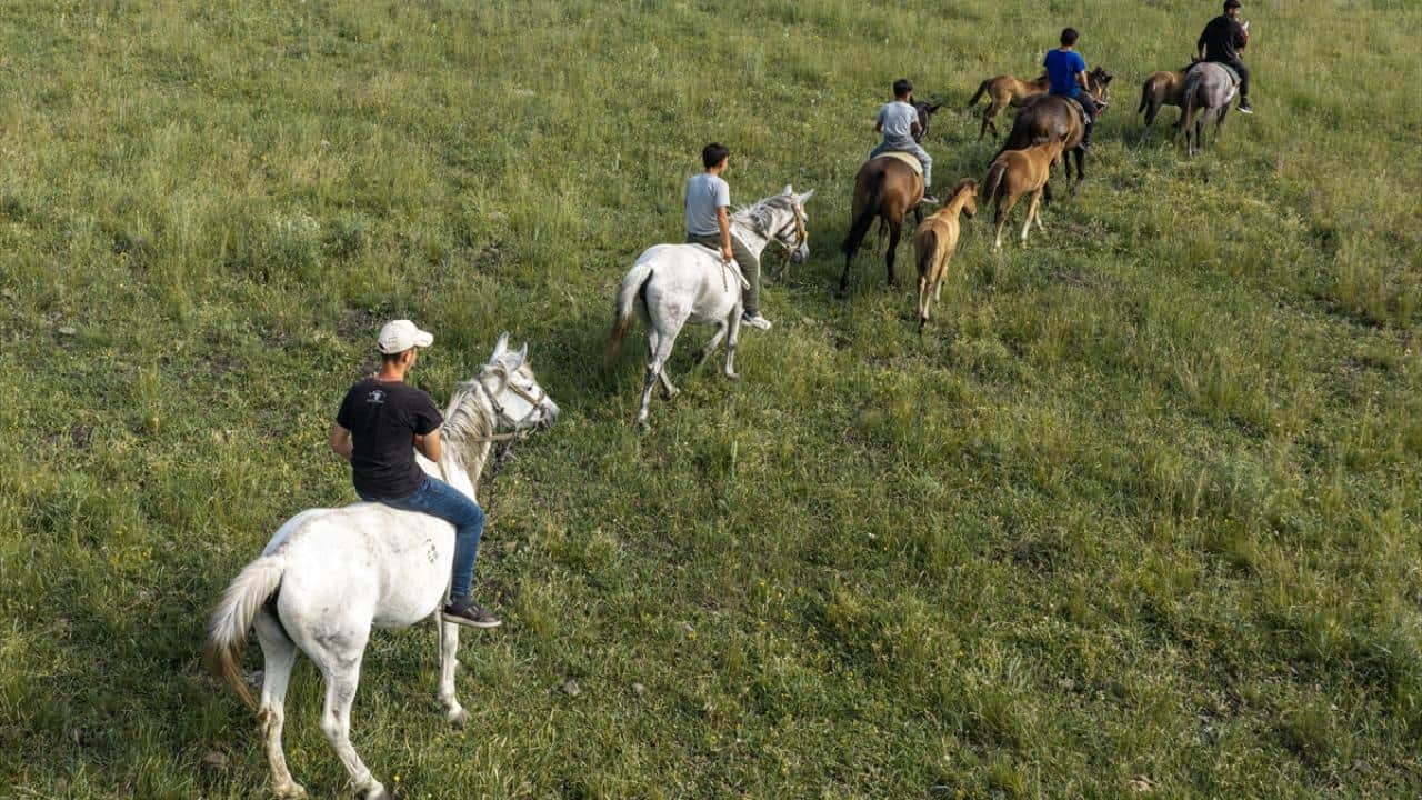 Foto - Hayvanlar yüksek rakımlı meralarda otluyor! Besiciler de yaz boyunca yaylalarda üretim yapıyor