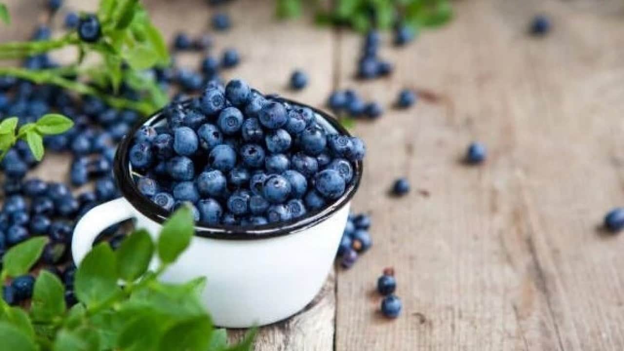 Foto - Her gün 1 avuç yiyince bakın ne oluyor! Bu meyveyle hastalıklar savaş açın