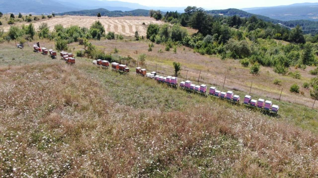 Foto - Her hafta 900 km. yol gidiyor Meraktan başladı meslek sahibi oldu