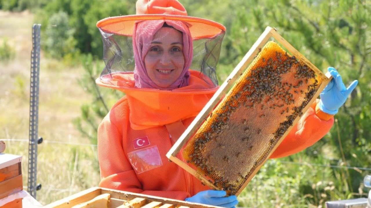 Her hafta 900 km. yol gidiyor Meraktan başladı meslek sahibi oldu