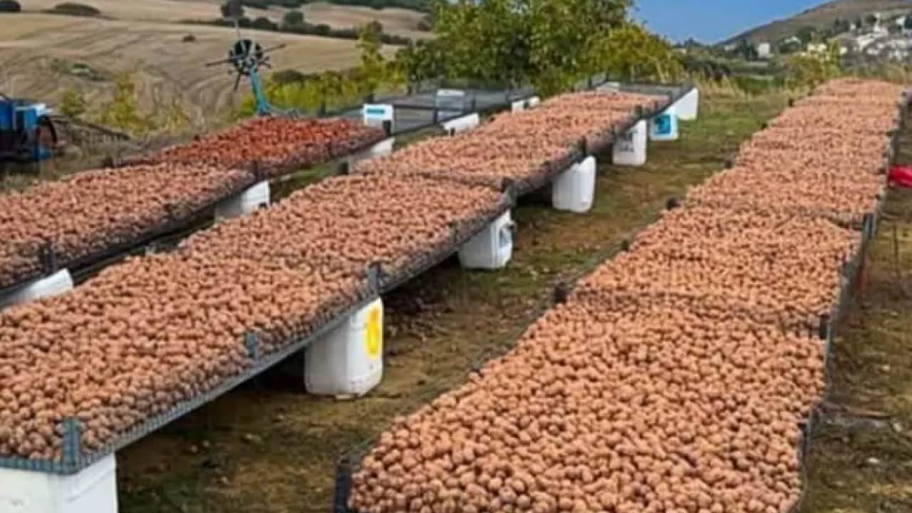 Foto - Oyunculuğu bırakıp köye yerleşti! Yeni mesleği şaşırttı!