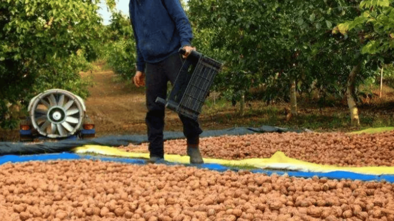 Foto - Oyunculuğu bırakıp köye yerleşti! Yeni mesleği şaşırttı!