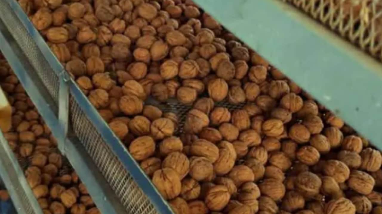 Foto - Oyunculuğu bırakıp köye yerleşti! Yeni mesleği şaşırttı!