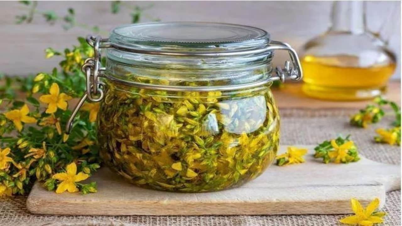 Foto - Her yudumu şifa mübarek! 1 bardakla basuru yok ediyor, kalbi dipçik gibi yapıyor, cildi gençleştiriyor