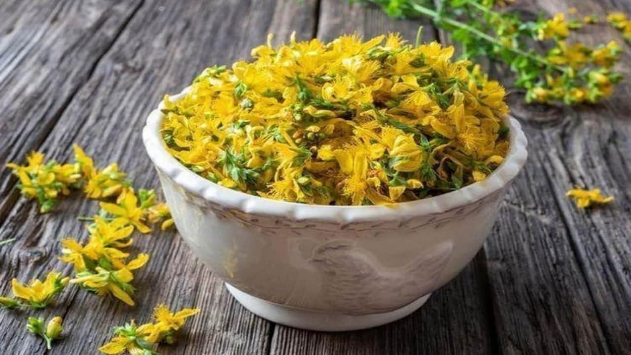 Foto - Her yudumu şifa mübarek! 1 bardakla basuru yok ediyor, kalbi dipçik gibi yapıyor, cildi gençleştiriyor