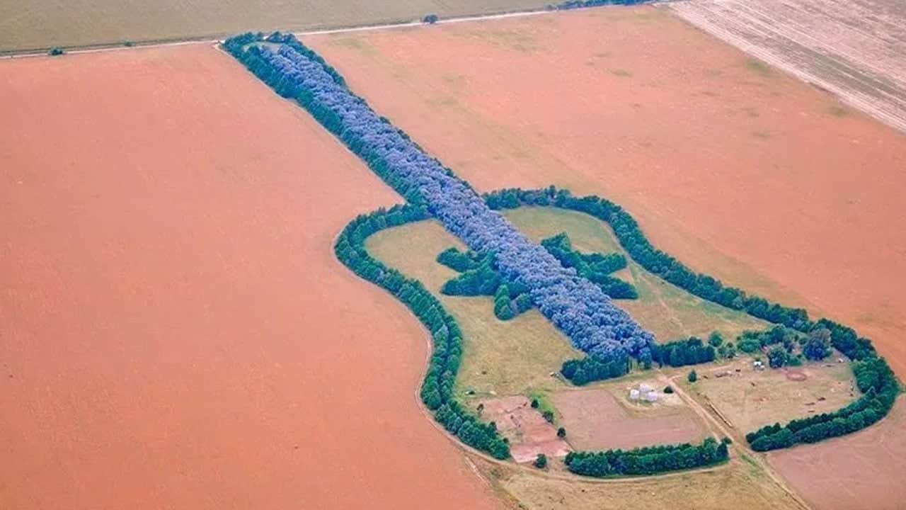 Foto - Hikayesini öğrenenlerin gözünden yaşlar geliyor! 7 bin ağacı tek tek dikip koca bir gitar ormanı yaptı