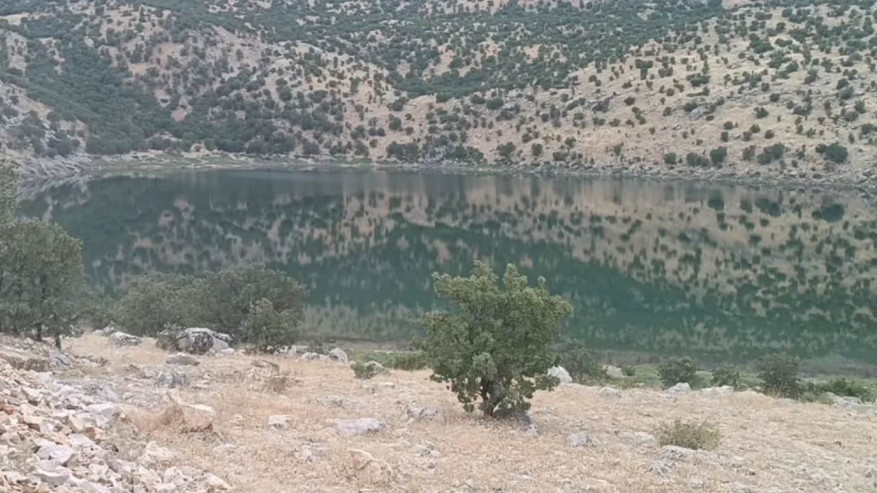 Foto - İçine girip saatlerce bekliyorlar: Dışarı çıkarmak yasak!