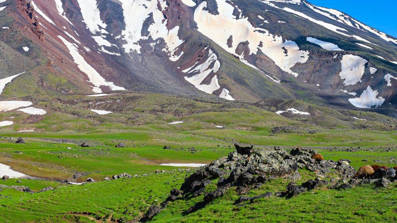 Foto - Iğdır 40 derece ile kavruluyor! Ağrı Dağı'nda ise bahar hüküm sürüyor