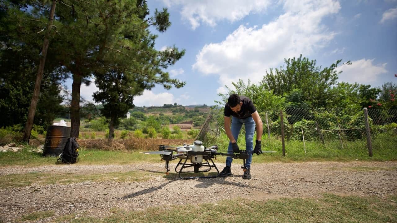 Foto - İlaçla etkisiz hale getiriyor Sineksavar dronlar iş başında
