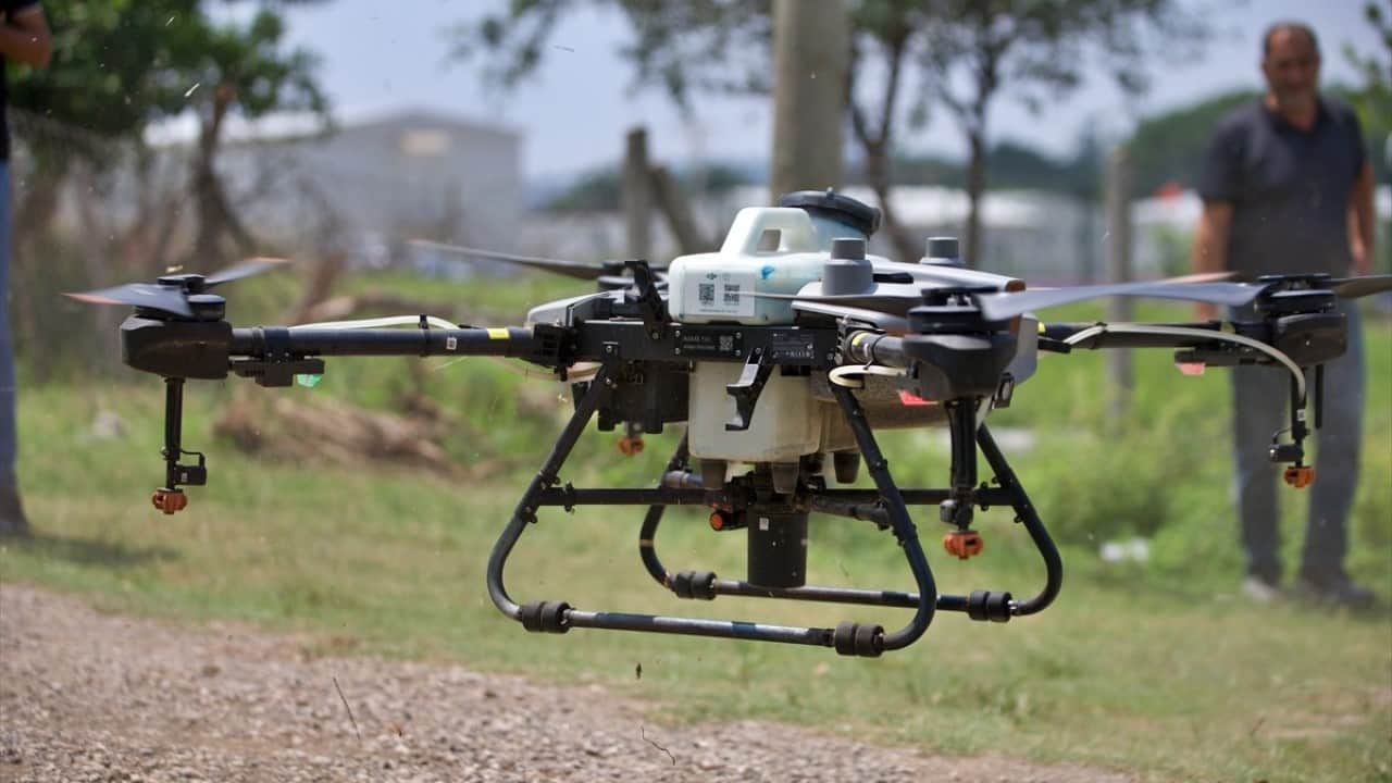 Foto - İlaçla etkisiz hale getiriyor Sineksavar dronlar iş başında
