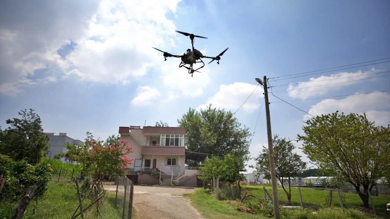 İlaçla etkisiz hale getiriyor Sineksavar dronlar iş başında