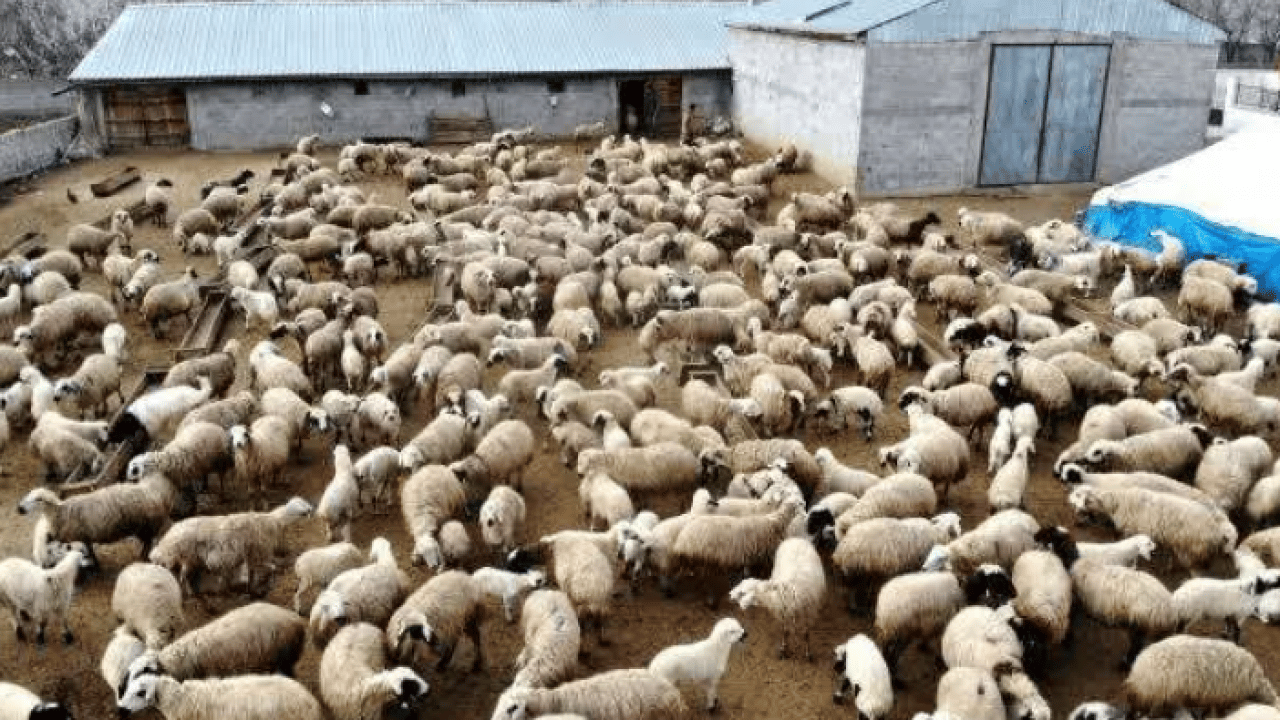 Foto - İlçeyi karıştıran olay: Bu kez ihanet sürünün içinden geldi!