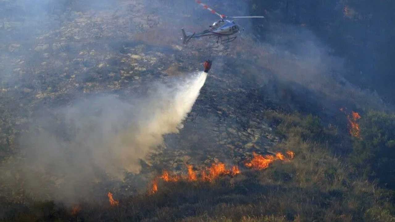 Foto - İngiltere'de büyük kabus