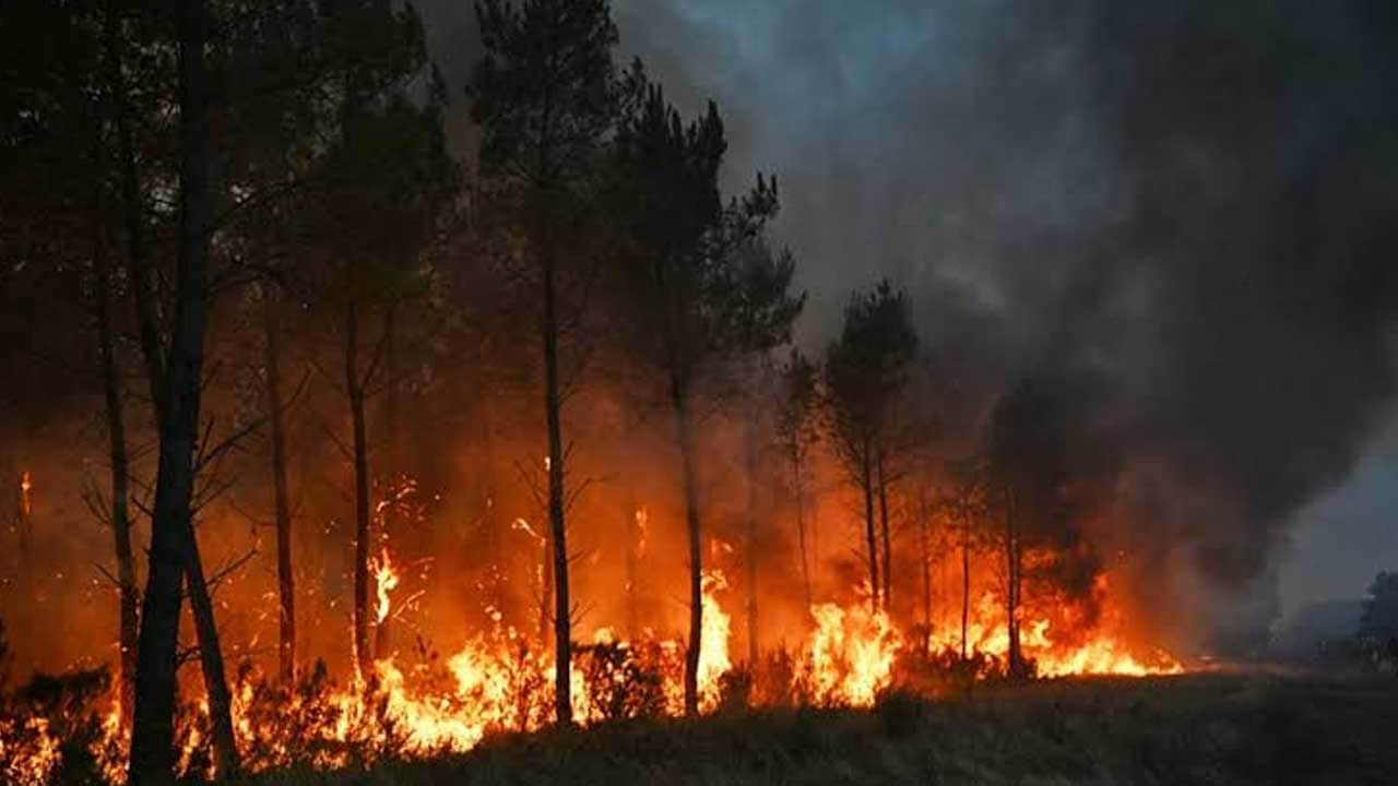 Foto - İngiltere'de büyük kabus