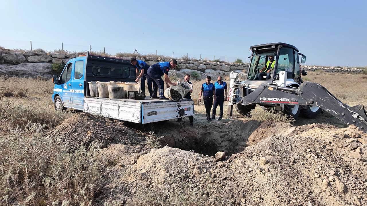 Foto - İnsan sağlığını hiçe sayan fırsatçılara darbe! İğrenç koşullarda üretilen kilolarca bozuk midye yakalandı!