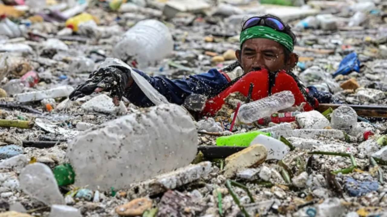 Foto - Dünyayı şok eden görüntüler: İnsanlar çöplerin içinde yüzüyor!