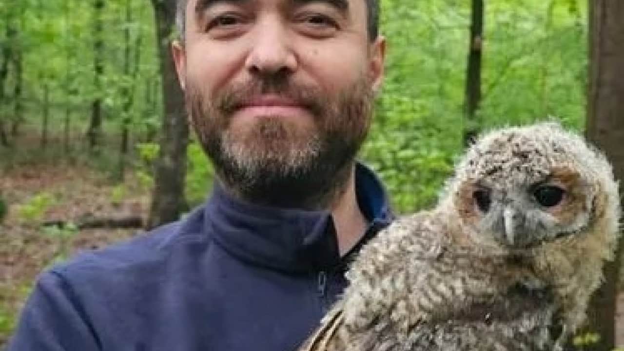 Foto - İstanbul’da 390 kuş türü tehlikede İstilacı kuşlar yerli türleri tehdit ediyor