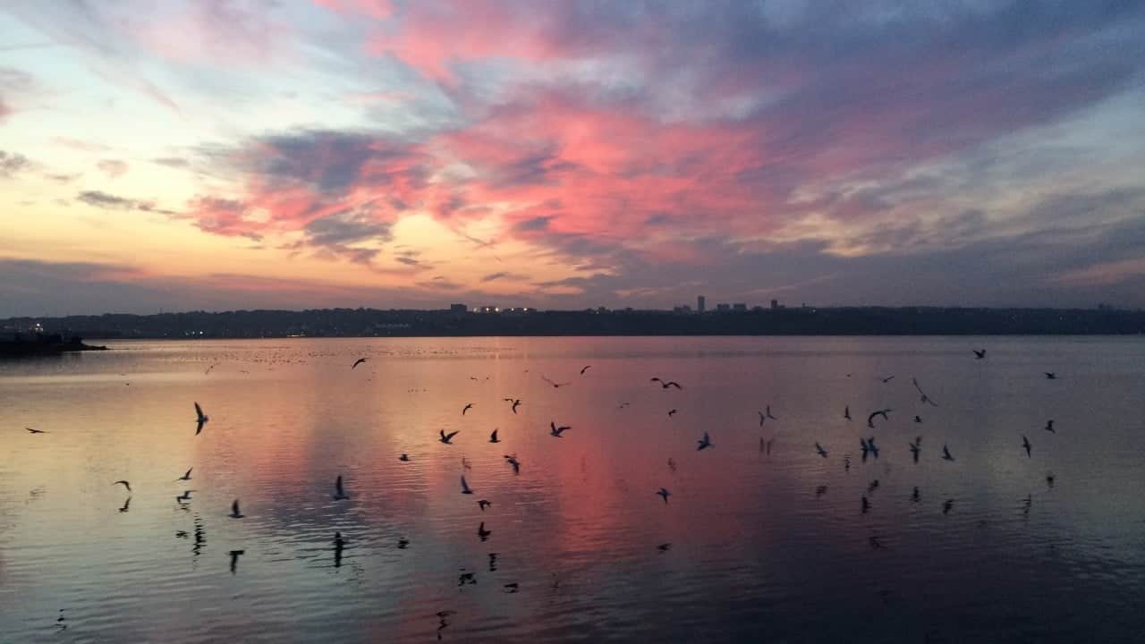 İstanbul’da korkunç görüntü! 52’si öldü, 5’i yaralandı 