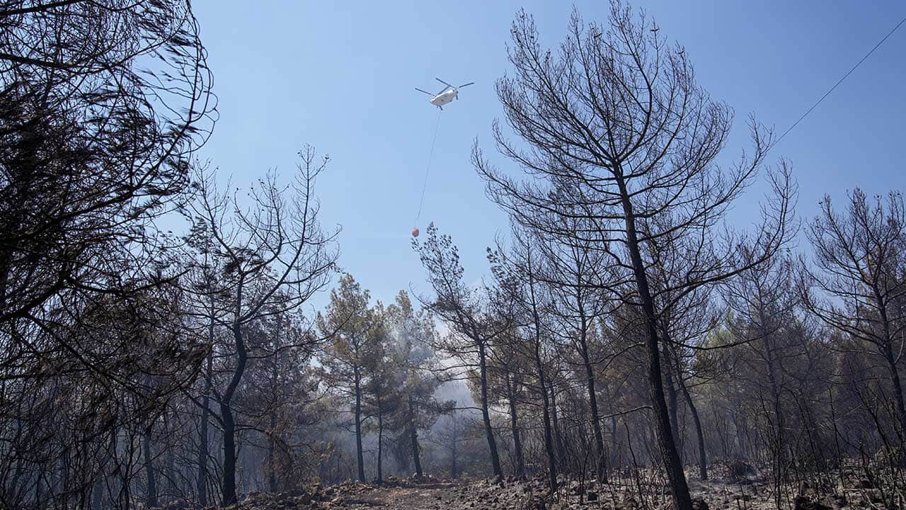 Foto - İzmir'den üzücü haber