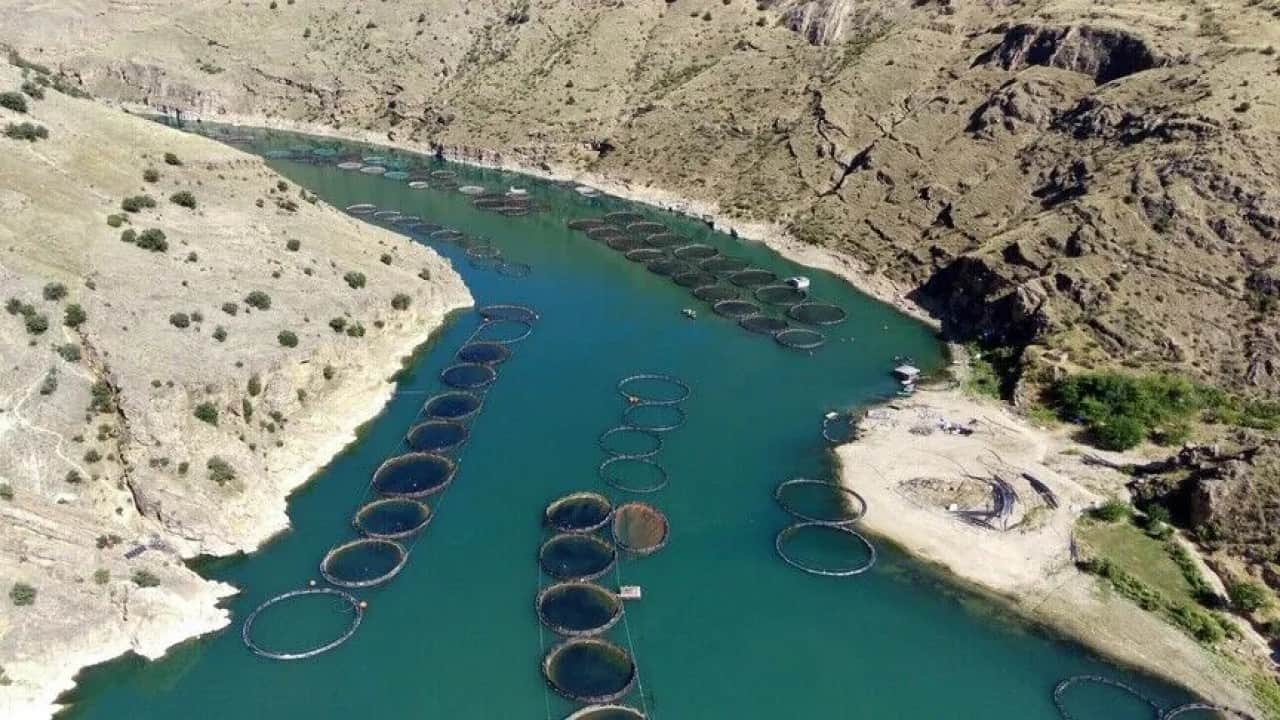 Foto - Kadın ve gençlere destek Fırat havzası ayağa kaldırılacak
