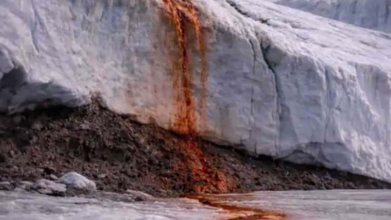Kanlı şelalenin sırrı çözüldü! Bakın buzun altından ne çıktı!