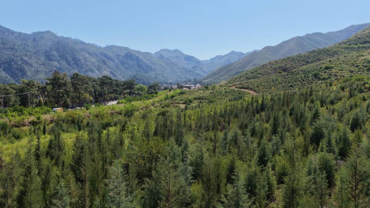 Foto - Kara tablo yeşile döndü! İşte Muğla’daki 5 yıllık değişim 