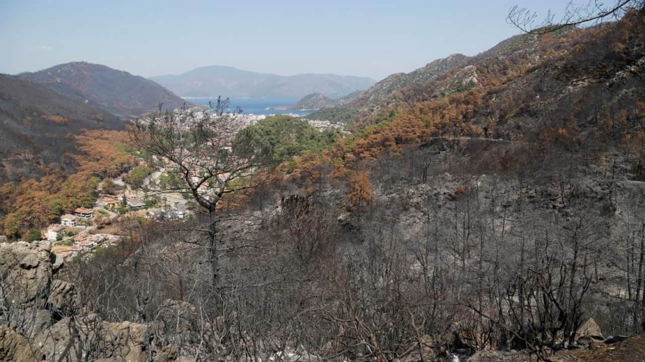 Foto - Kara tablo yeşile döndü! İşte Muğla’daki 5 yıllık değişim 
