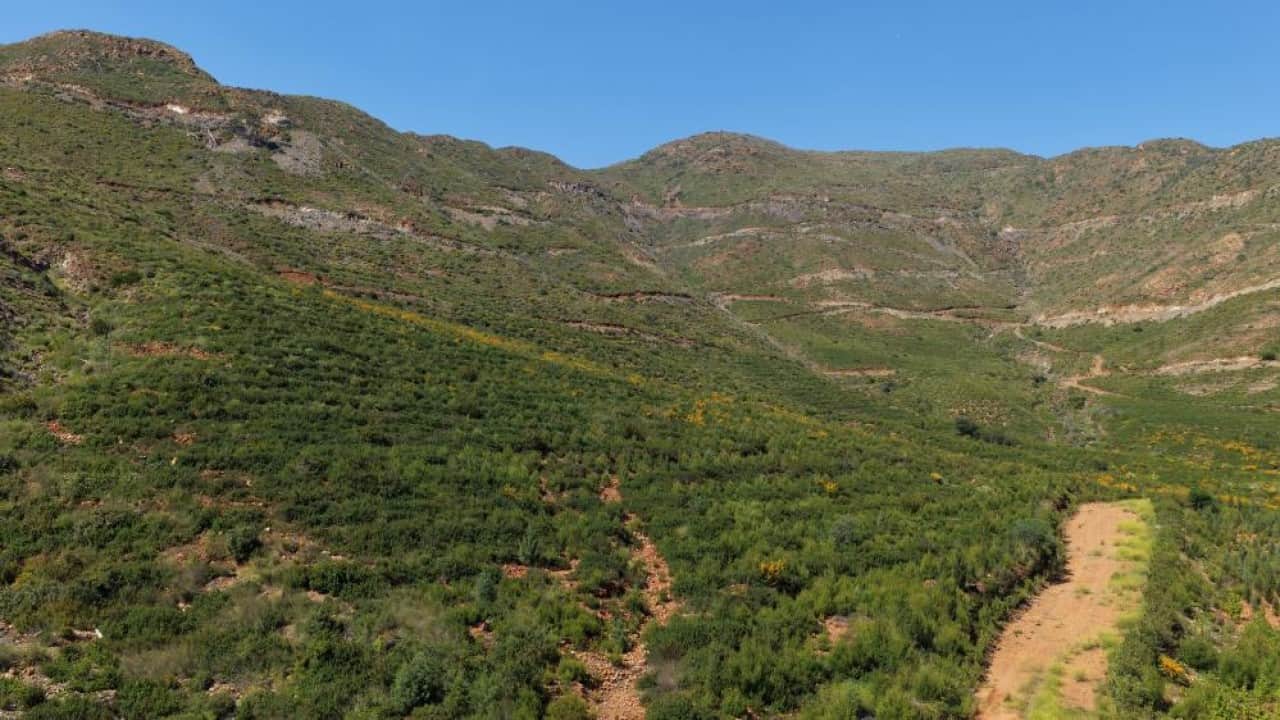 Foto - Kara tablo yeşile döndü! İşte Muğla’daki 5 yıllık değişim 