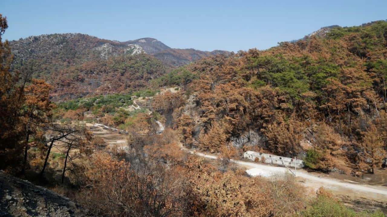 Foto - Kara tablo yeşile döndü! İşte Muğla’daki 5 yıllık değişim 