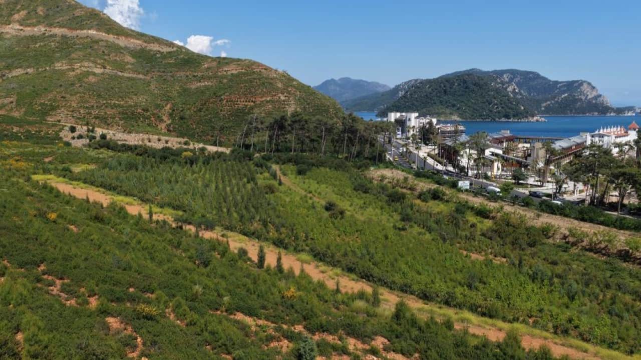 Foto - Kara tablo yeşile döndü! İşte Muğla’daki 5 yıllık değişim 