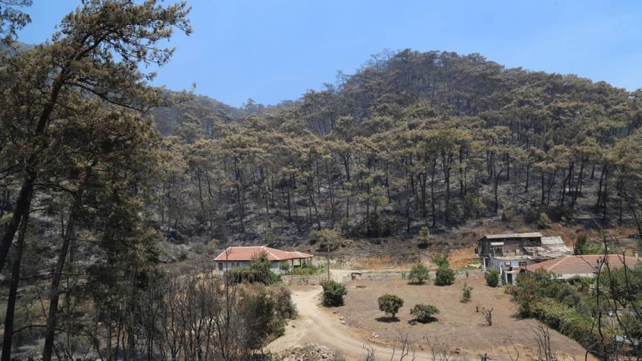 Foto - Kara tablo yeşile döndü! İşte Muğla’daki 5 yıllık değişim 