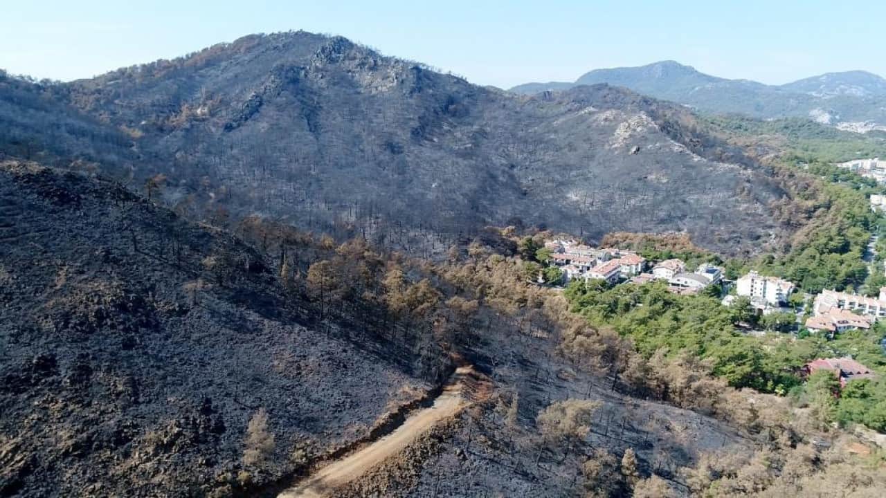 Foto - Kara tablo yeşile döndü! İşte Muğla’daki 5 yıllık değişim 