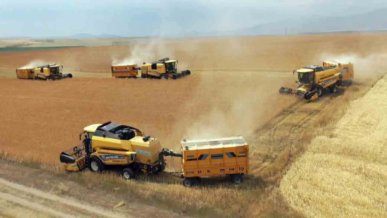 Foto - Kars toprağında yerli güç: Taner buğdayı