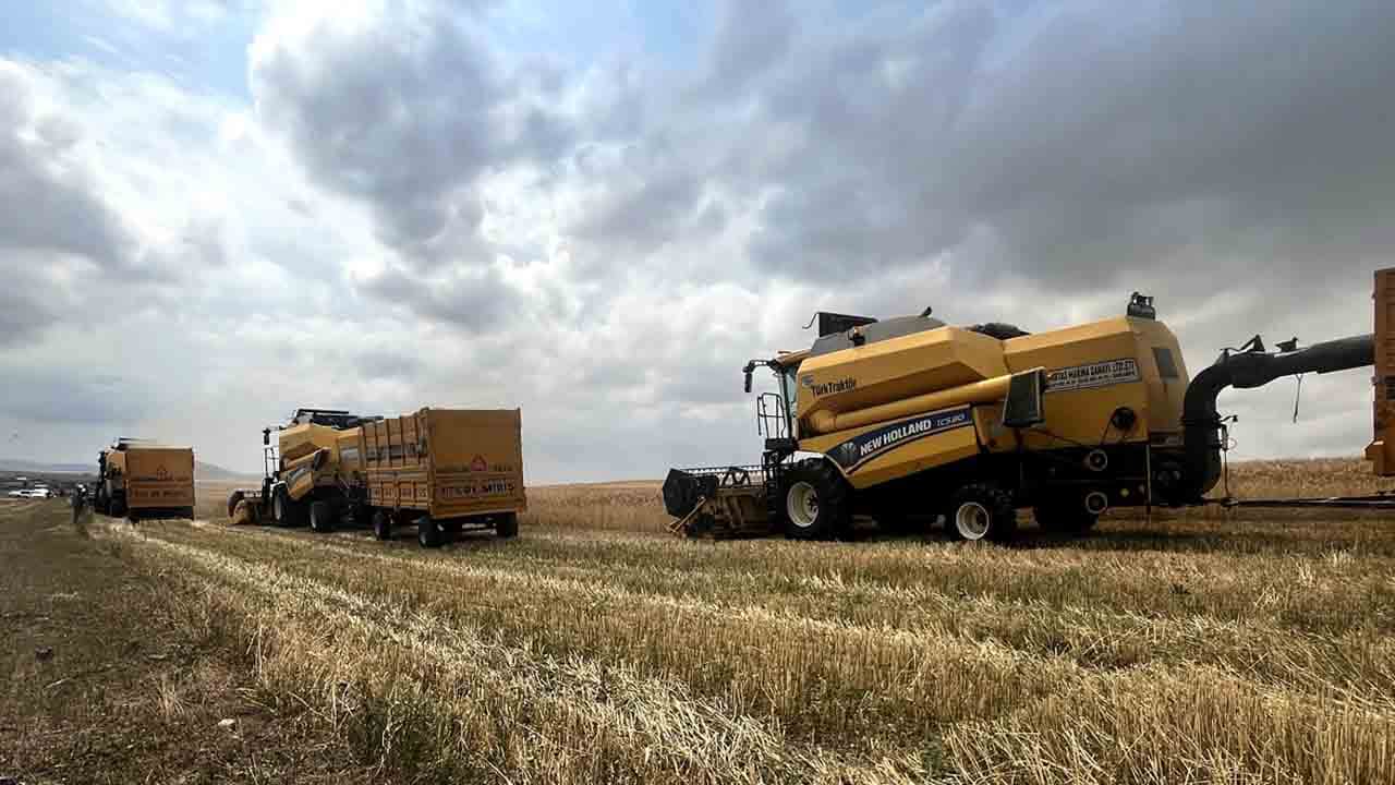 Foto - Kars toprağında yerli güç: Taner buğdayı