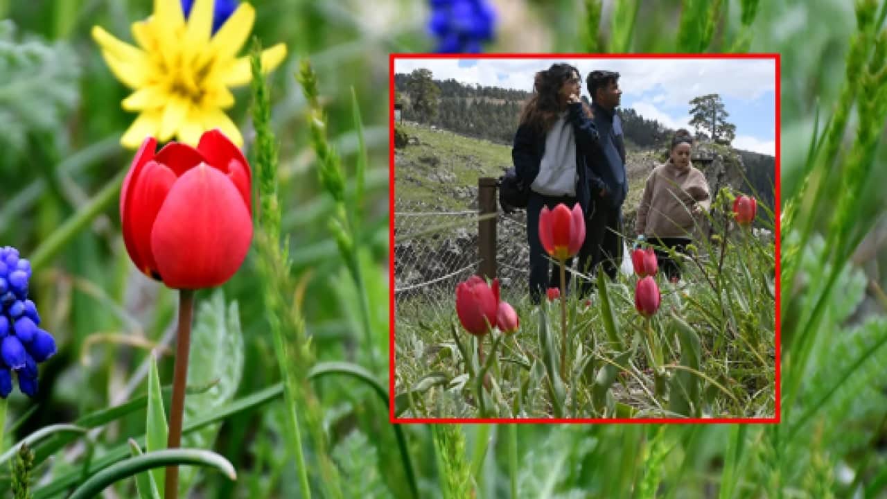 Foto - Kars’ın saklı cenneti büyülüyor! Gören bir daha bakıyor