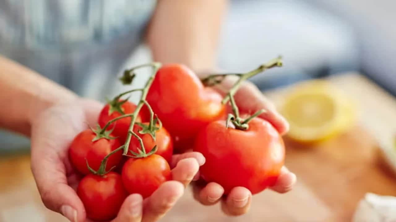 Foto - Kasa kasa alınan domates tezgahta mı yoksa buzdolabında mı saklanır? Sırrı ortaya çıktı tartışmaya neden oluyor