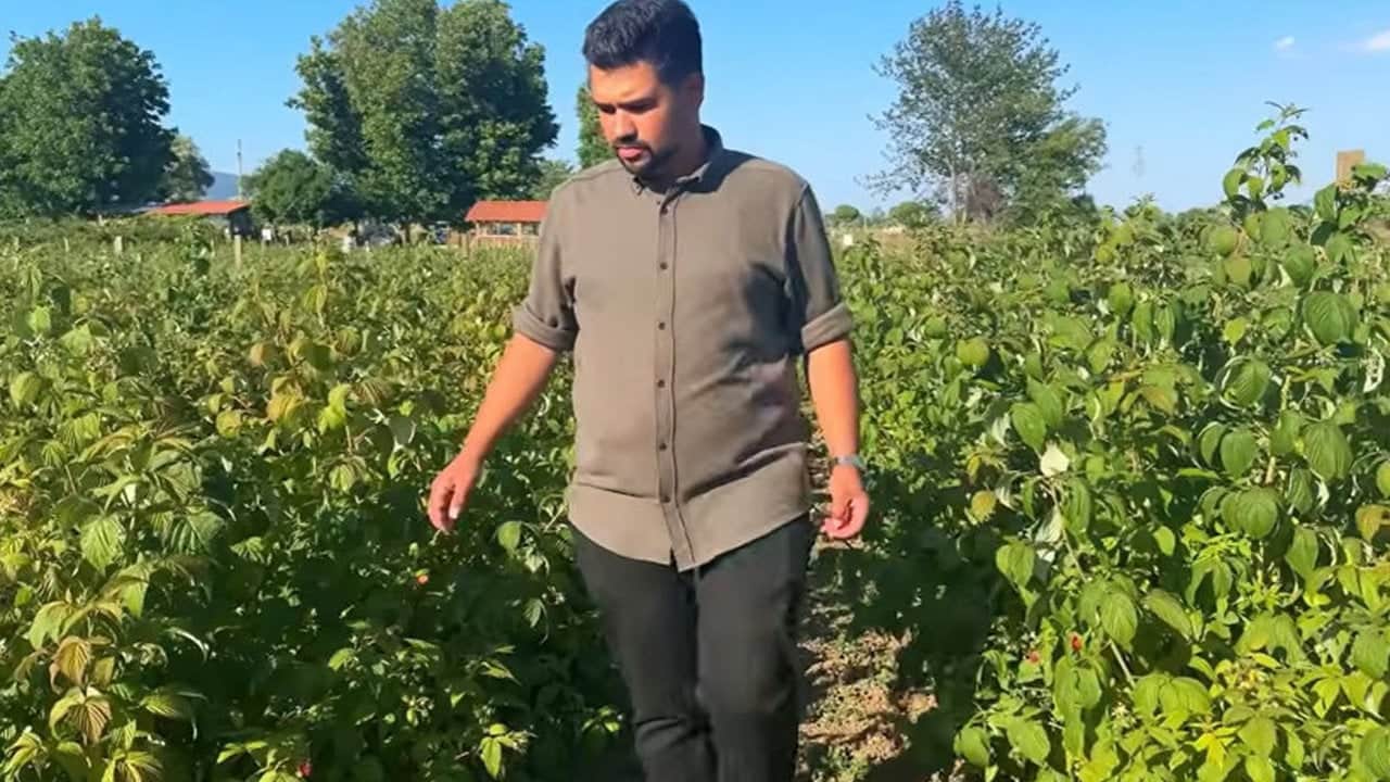 Foto - Kaymakamlık hayalinden vazgeçti, servetine servet kattı: "Kırmızı altın"la parasını 100’e katladı